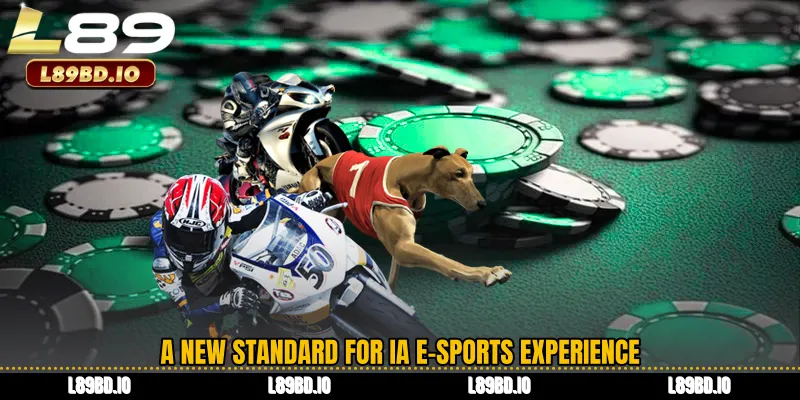 A New Standard for IA E-Sports Experience