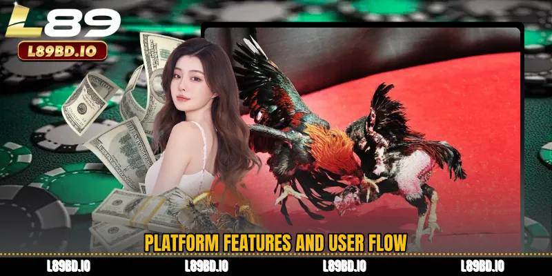 Platform Features and User Flow