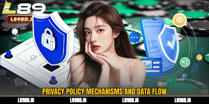 Privacy Policy Mechanisms and Data Flow